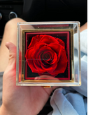 Caixa com Rosa Eterna & Colar Coração Personalizado