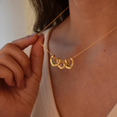 Colar Coração de mãe Personalizável com nomes + Caixa com 6 Rosas eternas aromáticas